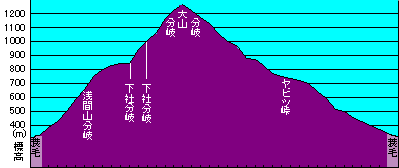 ooyama-chart