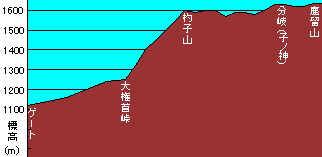 : : syakusiyama-chart